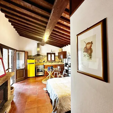Tuscany Paratino 53 By Zoom In Earth * Cecina (Livorno)
