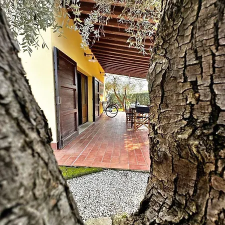 Tuscany Paratino 53 By Zoom In Earth Cecina (Livorno)